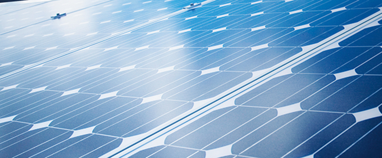 Photovoltaik bei Olaf Lachmann GmbH in Luckau